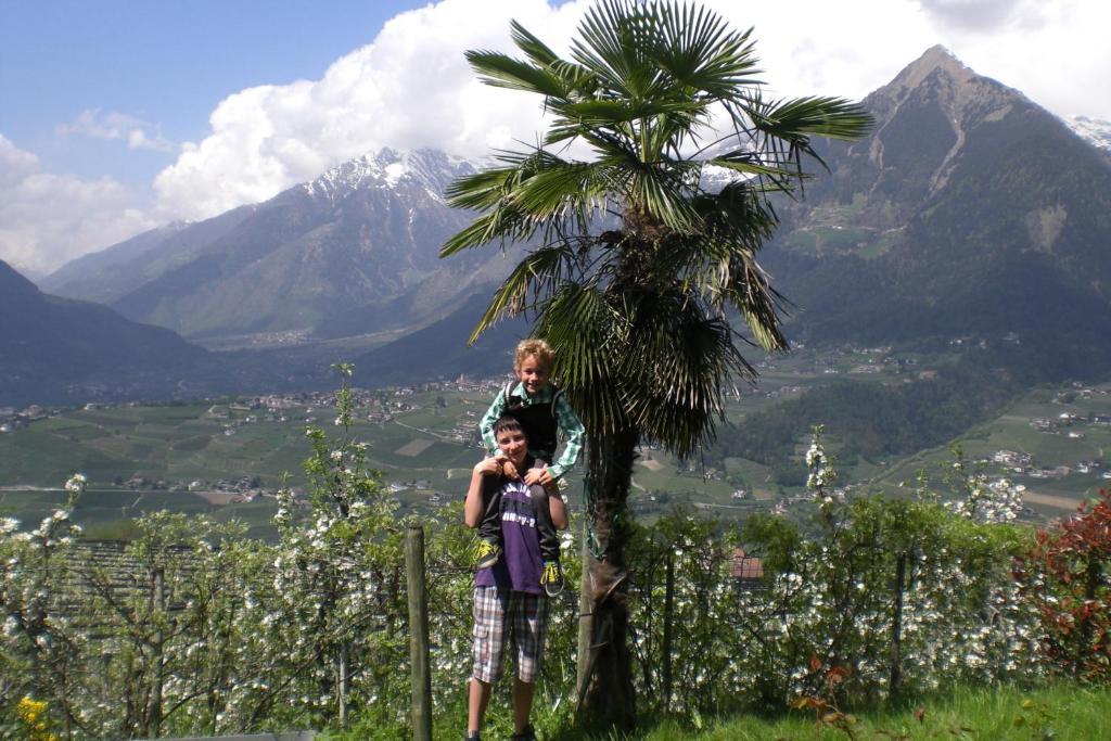 Krebishof Agriturismo Schenna Dış mekan fotoğraf